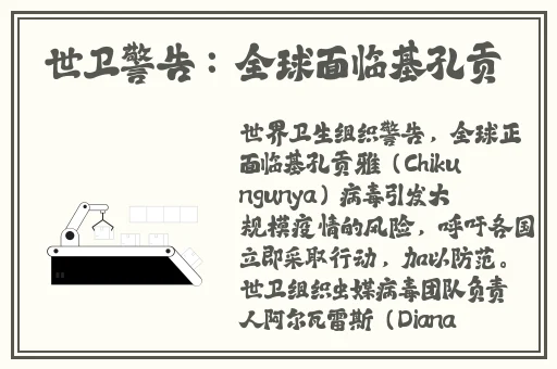 大巴车轮C系列